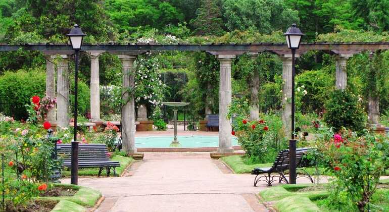 history-and-nature-walking-tour-through-the-prado-en-23