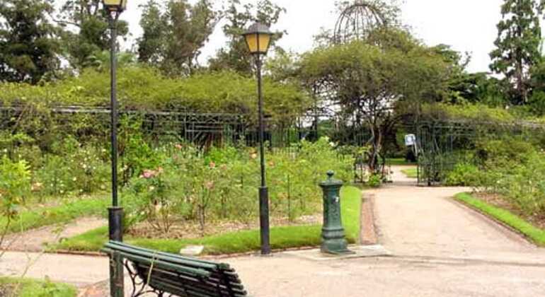 history-and-nature-walking-tour-through-the-prado-en-24