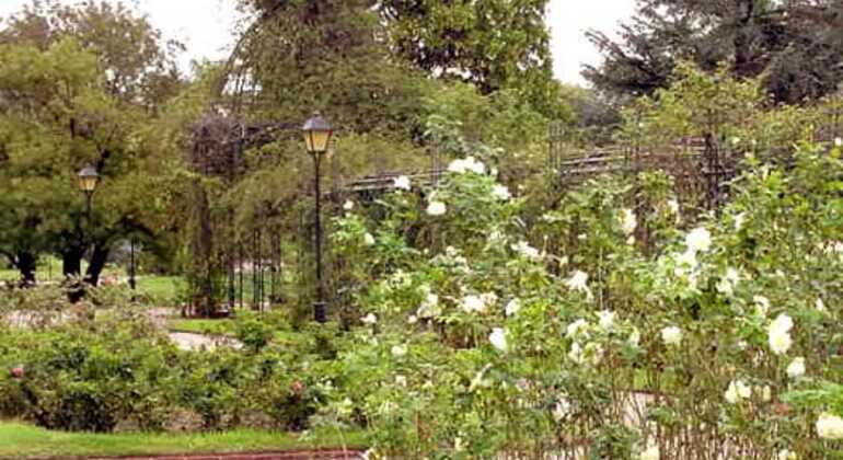 history-and-nature-walking-tour-through-the-prado-en-25