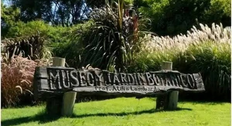 history-and-nature-walking-tour-through-the-prado-en-26