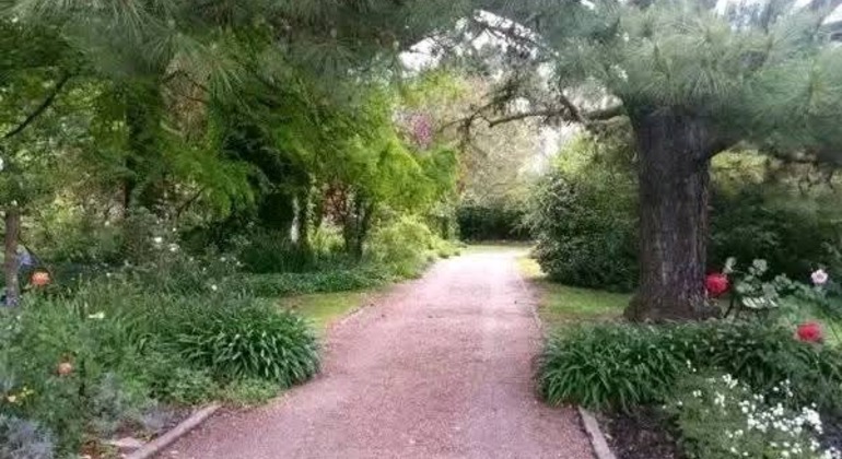 history-and-nature-walking-tour-through-the-prado-en-31