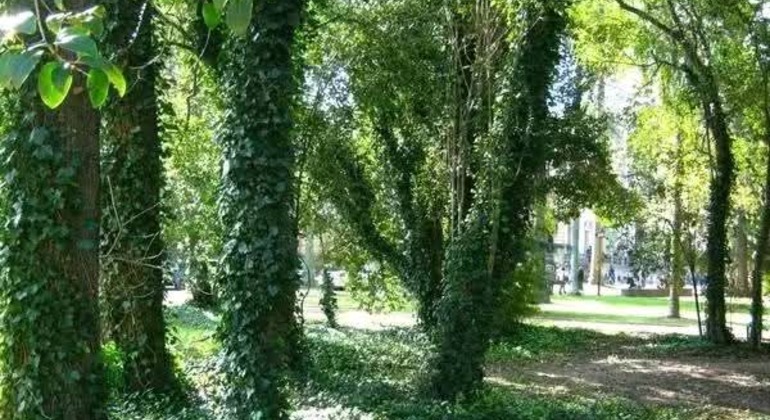 history-and-nature-walking-tour-through-the-prado-en-32