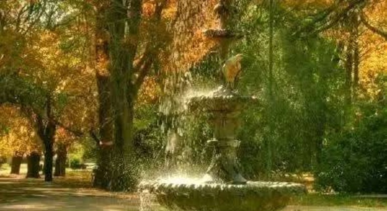 history-and-nature-walking-tour-through-the-prado-en-33