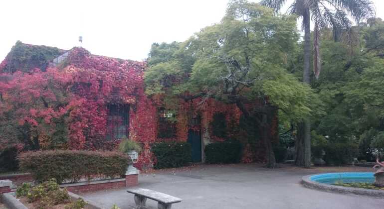 history-and-nature-walking-tour-through-the-prado-en-34