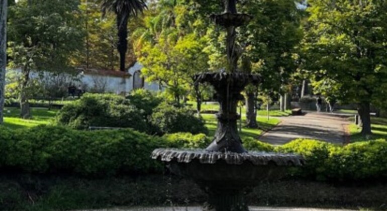 history-and-nature-walking-tour-through-the-prado-en-36