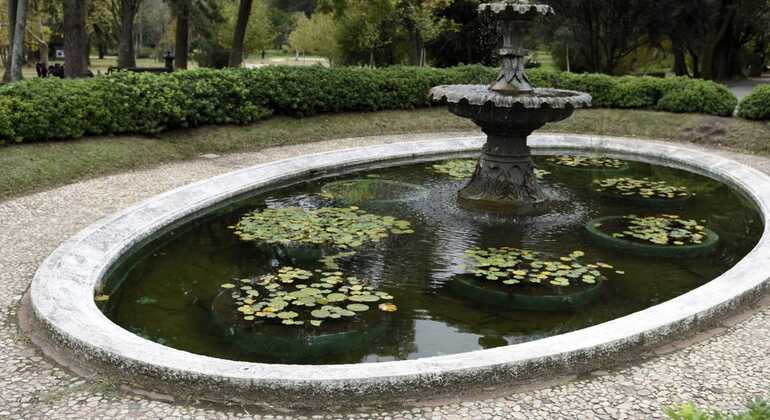 history-and-nature-walking-tour-through-the-prado-en-37