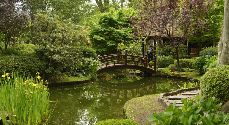 history-and-nature-walking-tour-through-the-prado-en-38