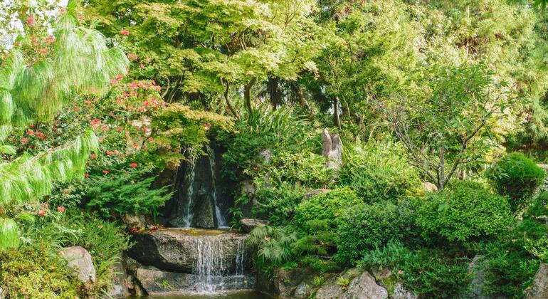 history-and-nature-walking-tour-through-the-prado-en-42