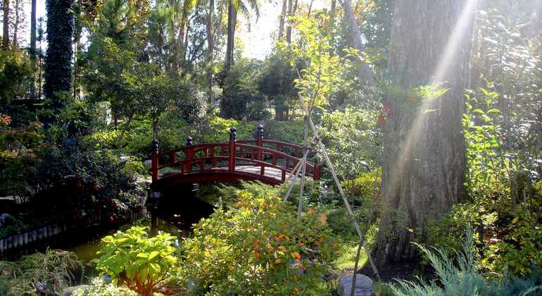 history-and-nature-walking-tour-through-the-prado-en-44