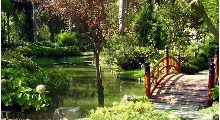 history-and-nature-walking-tour-through-the-prado-en-46