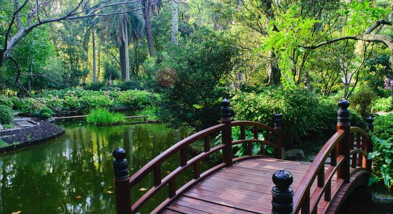 history-and-nature-walking-tour-through-the-prado-en-47