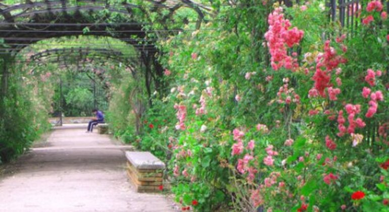 history-and-nature-walking-tour-through-the-prado-en-49