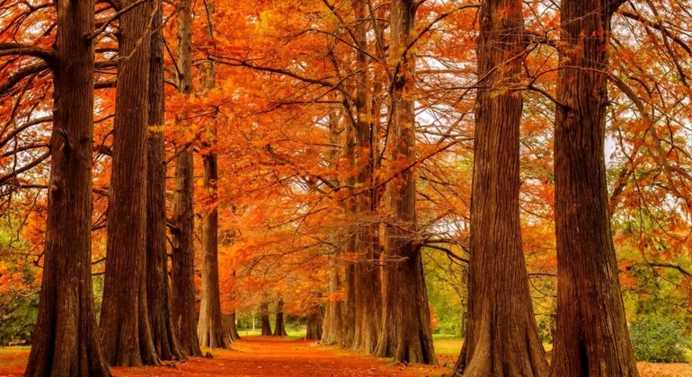 Tour Privado a pie de Historia y Naturaleza por el Prado