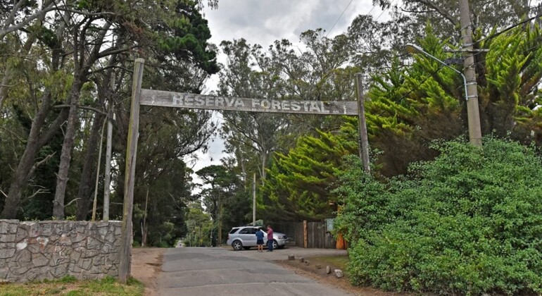 History & Nature Walking Tour through the Peralta Ramos Forest Argentina &mdash; #2