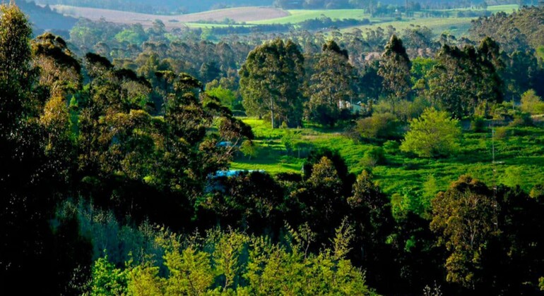 Private History and Nature Tour of General Pueyrredón