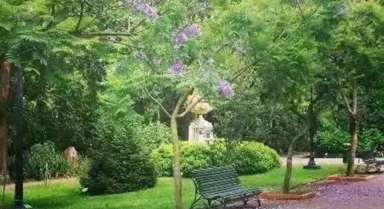 Walking Tour of History and Nature through the Prado Uruguay &mdash; #4