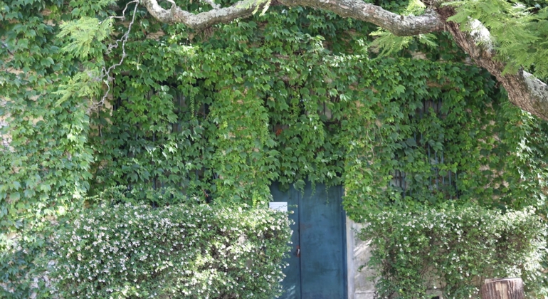 Walking Tour of History and Nature through the Prado Uruguay &mdash; #7