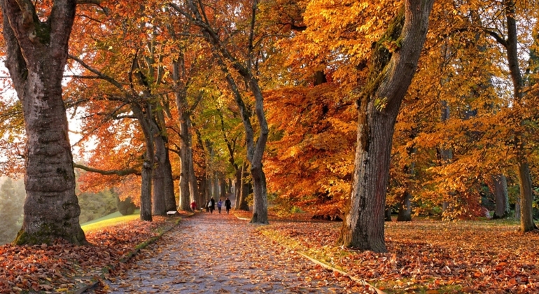 Walking Tour of History and Nature through the Prado Uruguay &mdash; #13