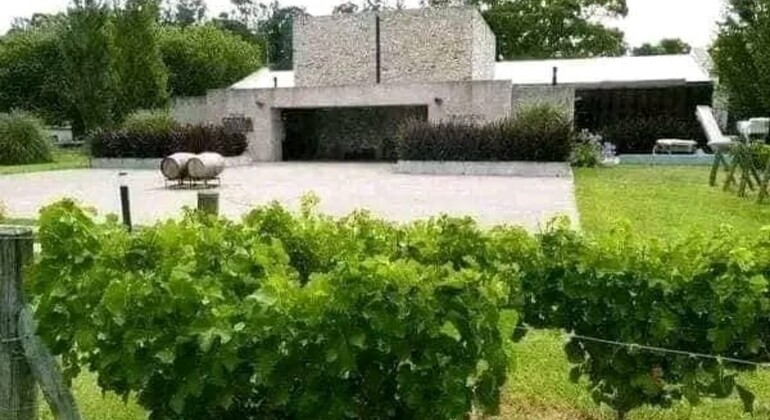 history-and-nature-walking-tour-through-the-prado-en-13