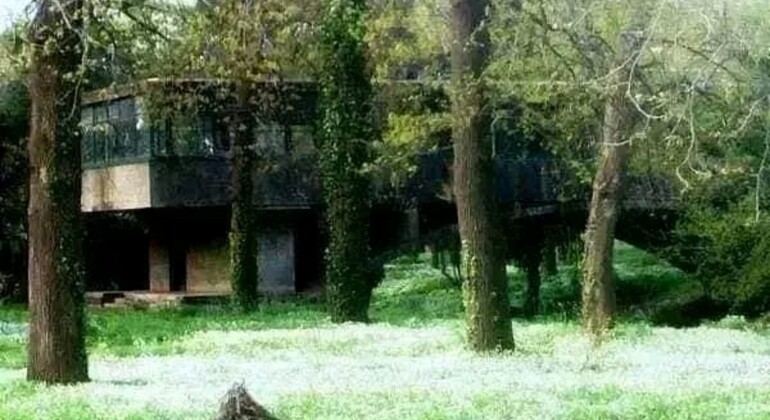 history-and-nature-walking-tour-through-the-prado-en-19