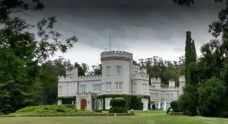 history-and-nature-walking-tour-through-the-prado-en-29