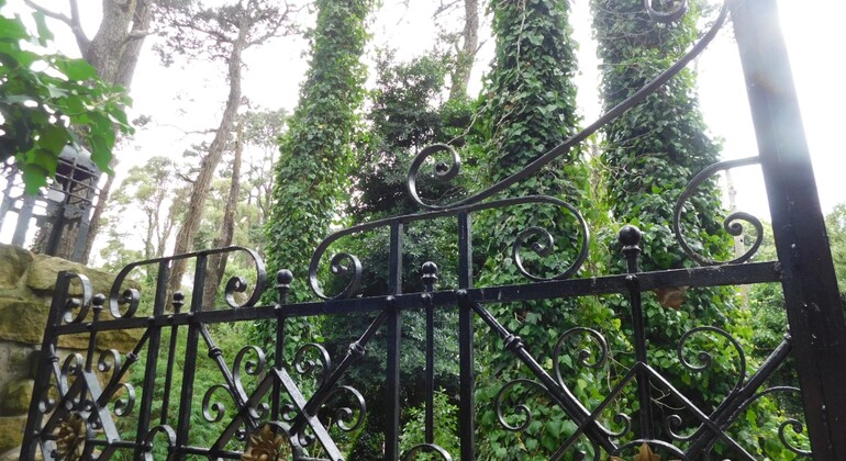 history-and-nature-walking-tour-through-the-prado-en-38