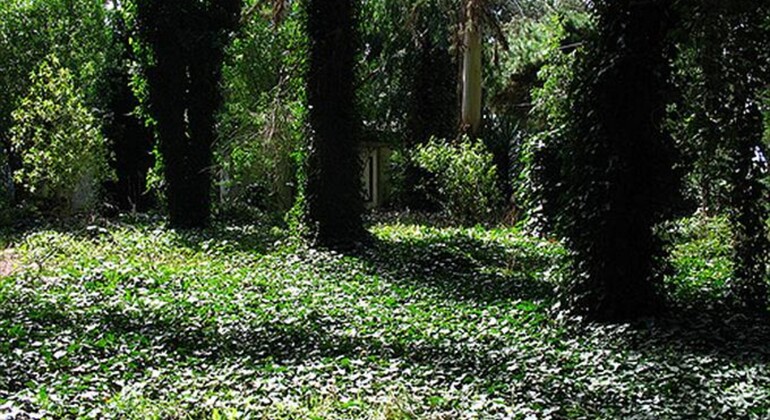 history-and-nature-walking-tour-through-the-prado-en-41