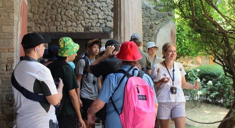 Tour da Napoli a Pompei e al Vesuvio Italia &mdash; #19