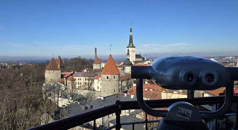 Totallin: The Complete Free Tour of Tallinn, Estonia