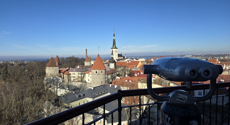 Totallin: Die komplette kostenlose Tour durch Tallinn Estland &mdash; #6