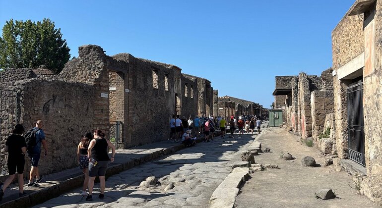 Pompeii Tour from Naples with Guide, Driver & Ticket