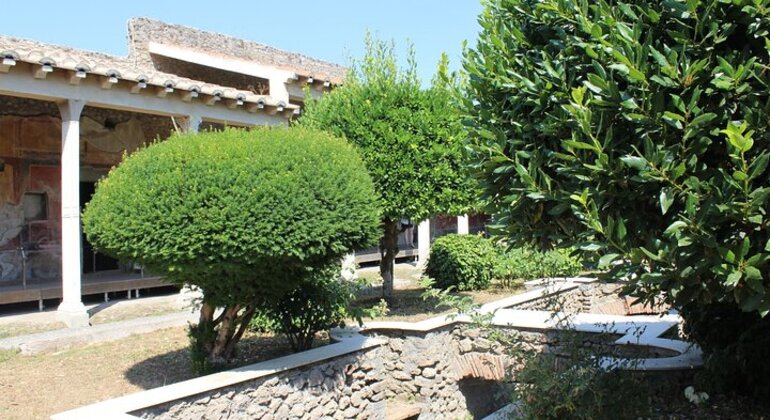 Tour di Pompei da Napoli con guida, autista e biglietto d'ingresso Italia &mdash; #5