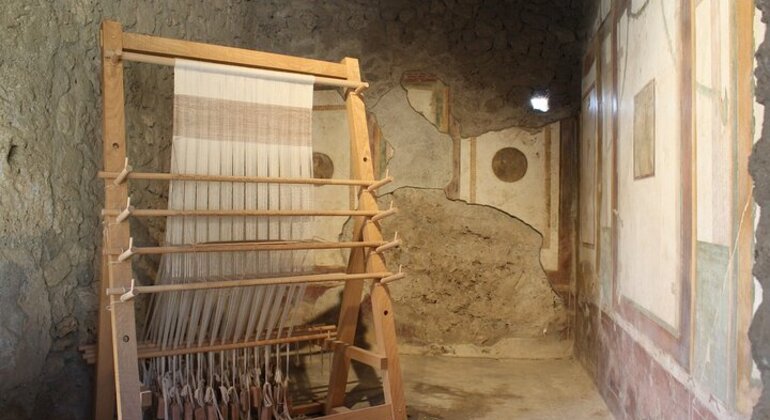 Tour di Pompei da Napoli con guida, autista e biglietto d'ingresso Italia &mdash; #9