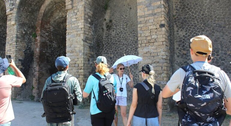 Tour di Pompei da Napoli con guida, autista e biglietto d'ingresso Italia &mdash; #13