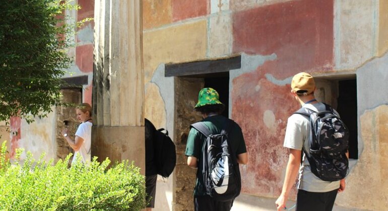Tour di Pompei da Napoli con guida, autista e biglietto d'ingresso Italia &mdash; #14