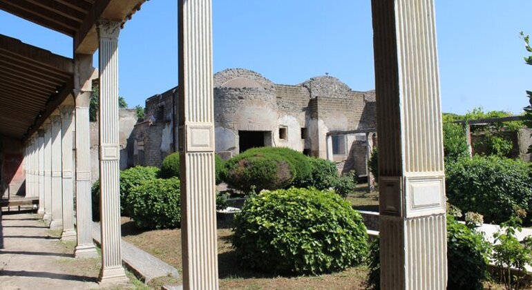 Tour di Pompei da Napoli con guida, autista e biglietto d'ingresso Italia &mdash; #15