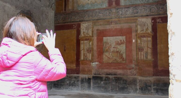 Tour di Pompei da Napoli con guida, autista e biglietto d'ingresso Italia &mdash; #16