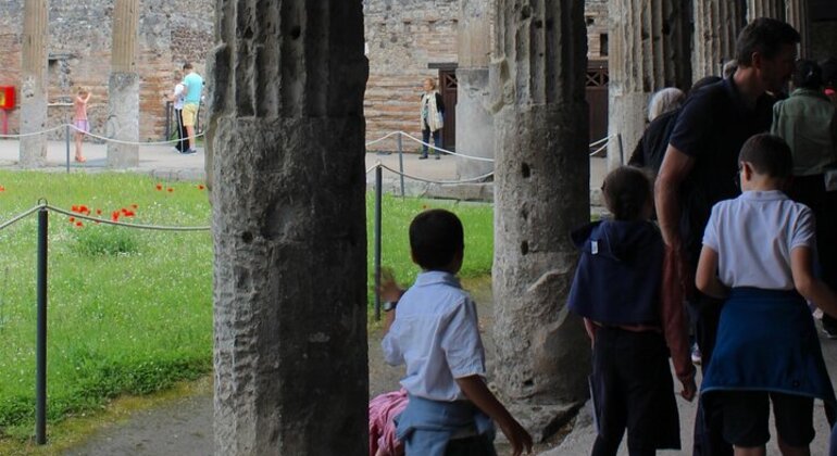Tour di Pompei da Napoli con guida, autista e biglietto d'ingresso Italia &mdash; #21