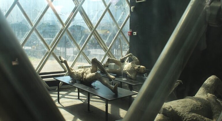 Tour di Pompei da Napoli con guida, autista e biglietto d'ingresso Italia &mdash; #24