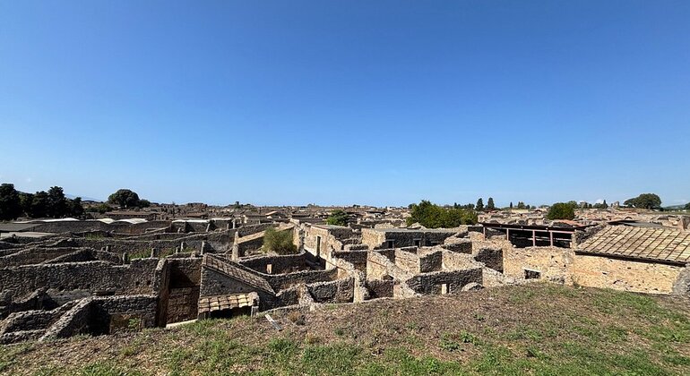 Tour di Pompei da Napoli con guida, autista e biglietto d'ingresso Italia &mdash; #35