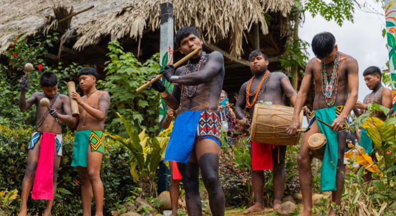 Embera Drua: Indigenous Day Experience from Panama City Provided by Pasta Walk