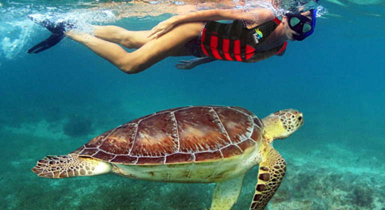 tour-de-snorkel-en-la-isla-coiba-en-1