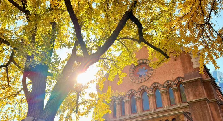 Il percorso dell'antica Shanghai Tour gratuito Cina &mdash; #12