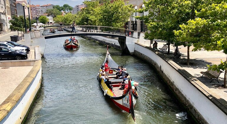 Aveiro History & Culture Free Tour Portugal &mdash; #4
