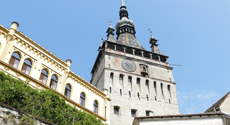 Visita gratuita: Paseo divertido por la ciudad, Romania