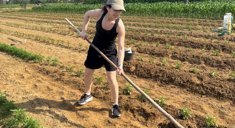 Hoi An Land Radfahren Kostenlose Tour & Kim Bong Woodcraft Village Vietnam &mdash; #14