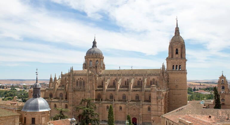 Visita Guiada a las Catedrales de Salamanca. Entrada no incluida