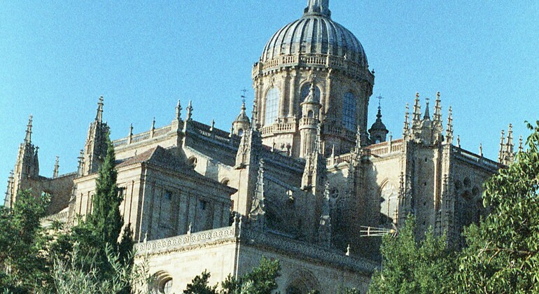 guided-visit-to-the-cathedrals-of-salamanca-entrance-fee-not-included-es-1