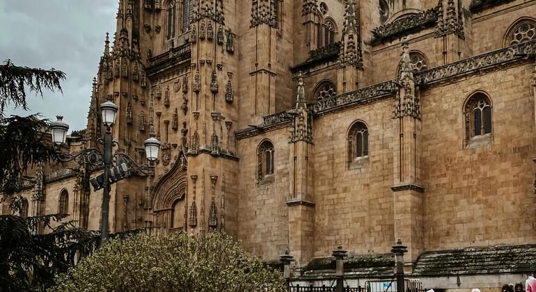 guided-visit-to-the-cathedrals-of-salamanca-entrance-fee-not-included-es-2