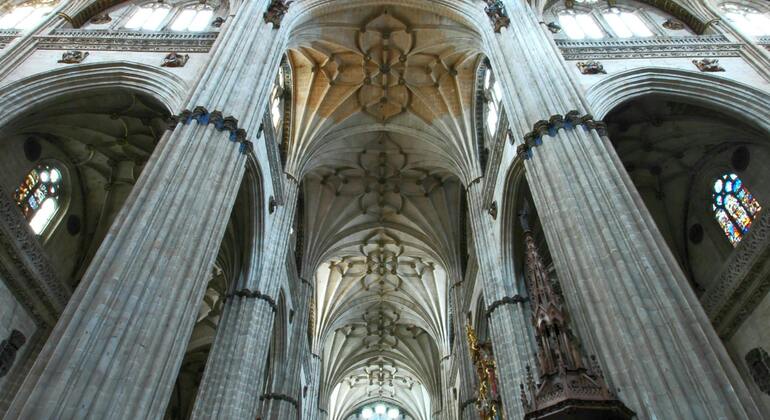 guided-visit-to-the-cathedrals-of-salamanca-entrance-fee-not-included-es-3